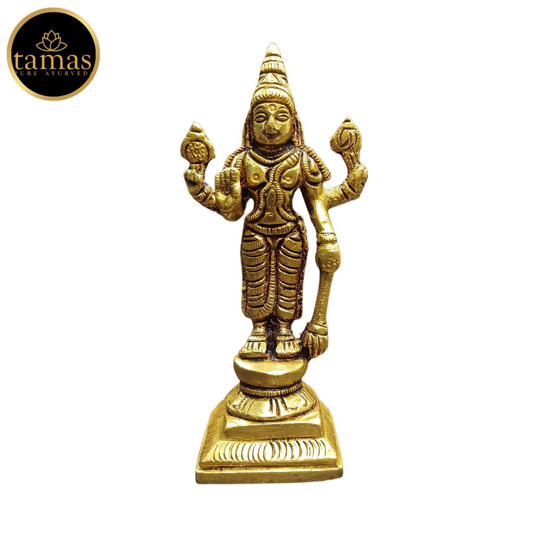 Tamas Brass Standing Lord Vishnu Statue/Idol (Golden) (4 Inches)