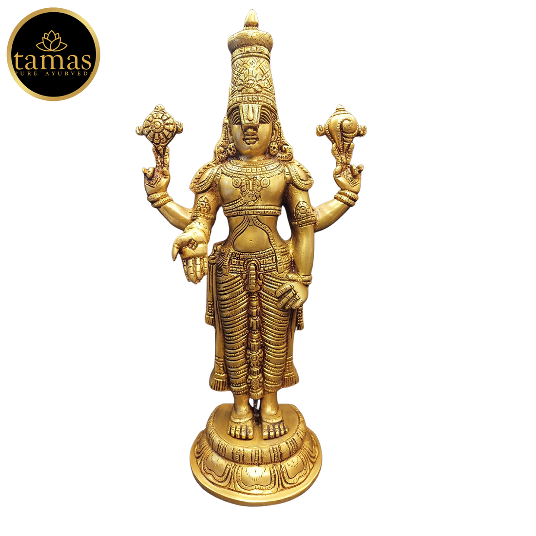 Tamas Brass Tirupati Bala Ji Statue (17 Inches)