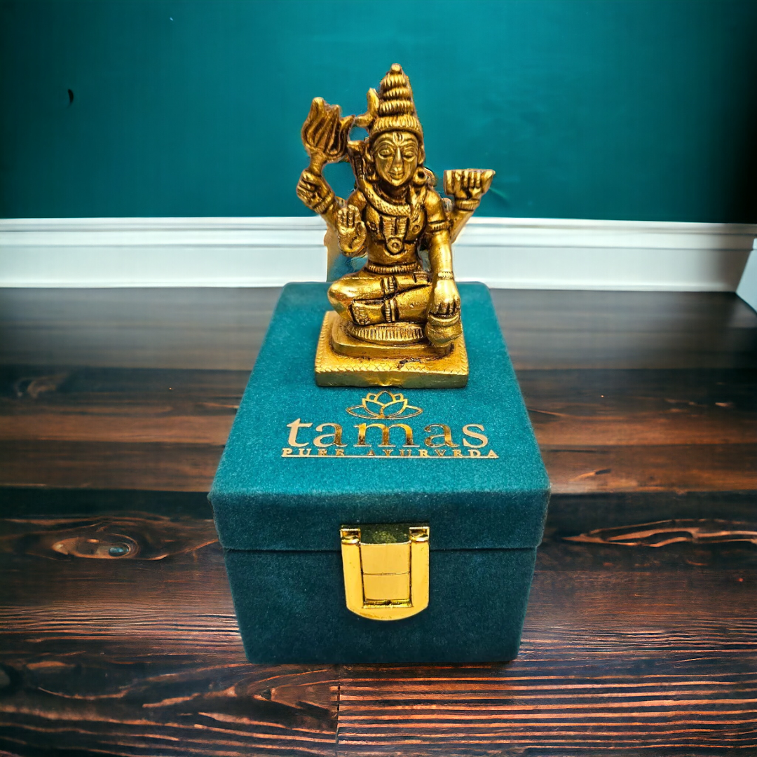 Tamas Brass Small Lord Shiva Statue (3 Inch)| Free Luxury Gift Box