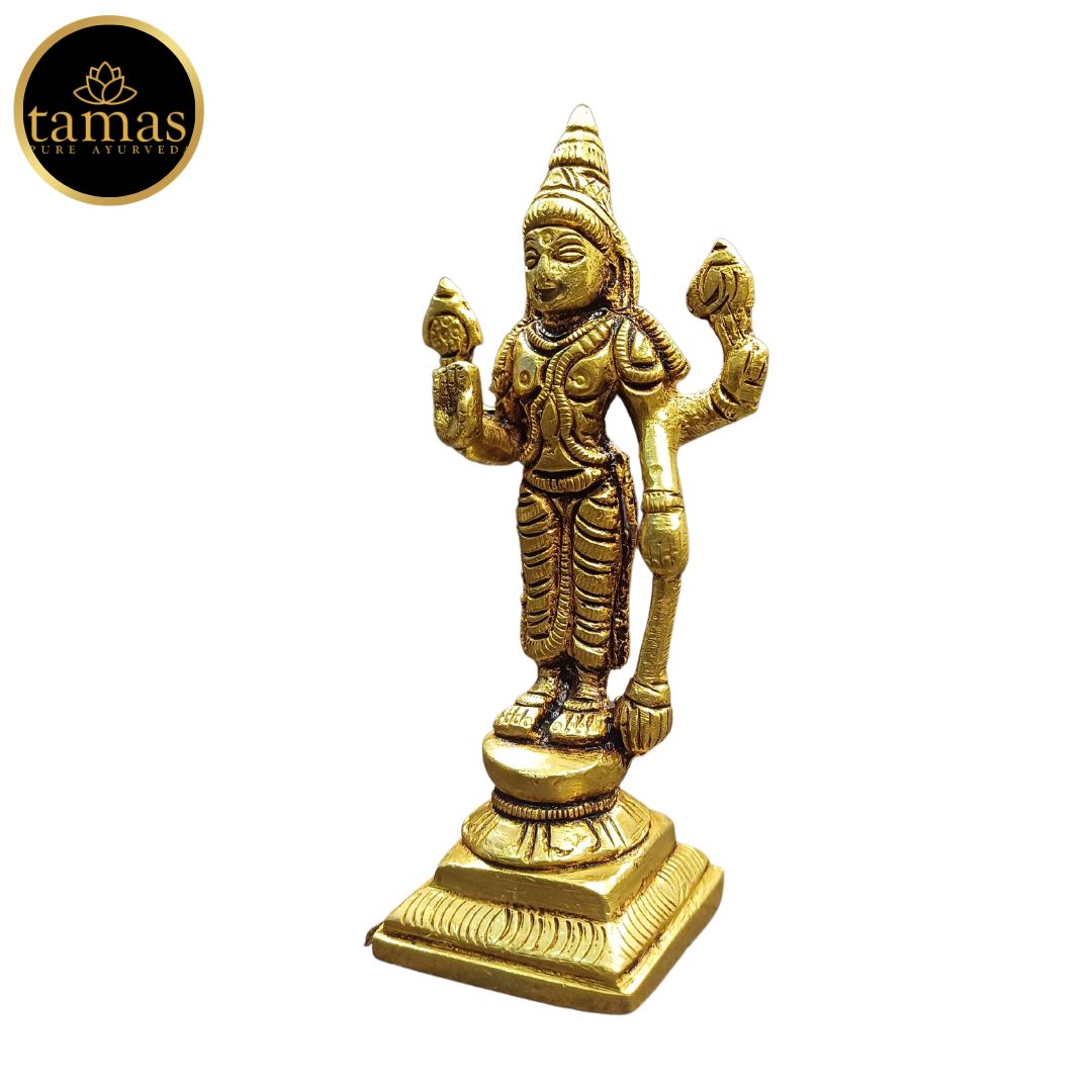 Tamas Brass Standing Lord Vishnu Statue/Idol (Golden) (4 Inches)