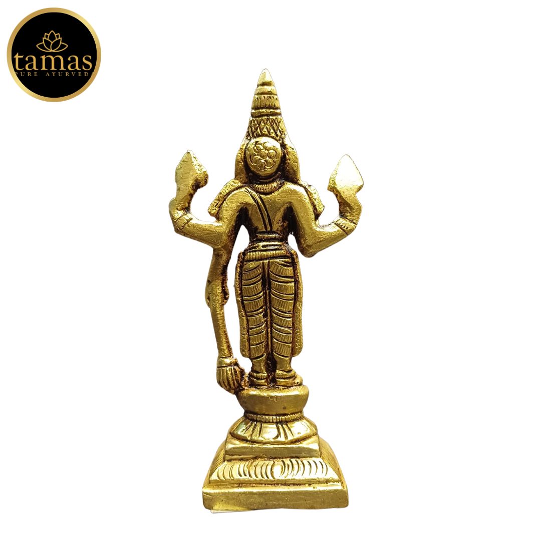 Tamas Brass Standing Lord Vishnu Statue/Idol (Golden) (4 Inches)