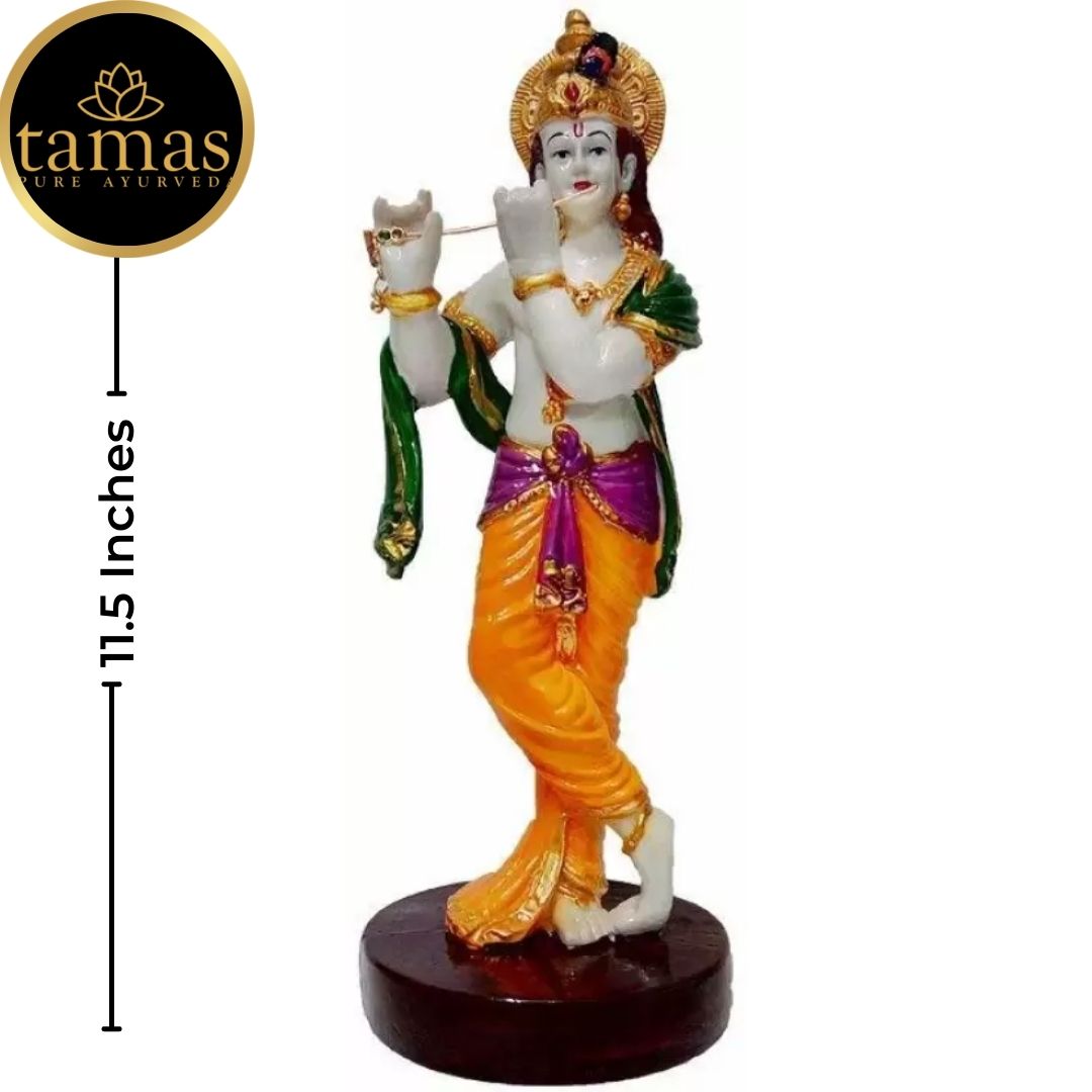 Tamas Poly Resin Lord Krishna Statue (11.5 Inches, Multicolor)