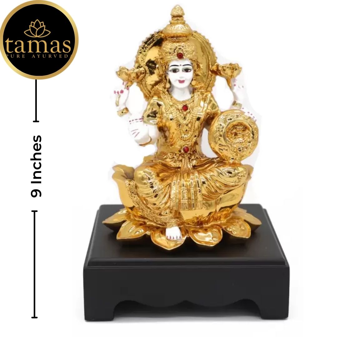 Tamas Poly Resin Gold Plated Goddess Laxmi Statue (9 Inches, White & Gold)