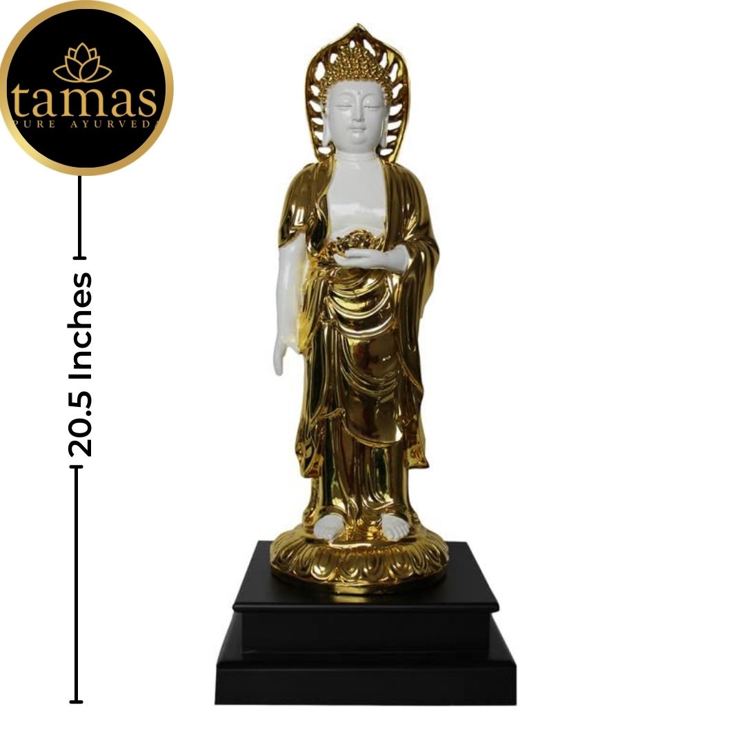 Tamas Poly Resin Gold Plated Standing Buddha Statue (20.5 Inches, White & Golden)