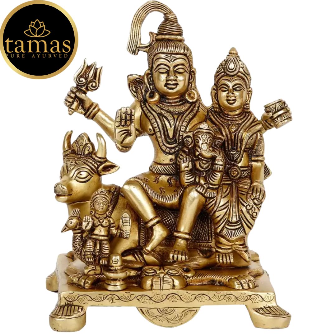 Tamas Brass Shiv Parivar With Nandi Statue(Golden) Height: 8 inches