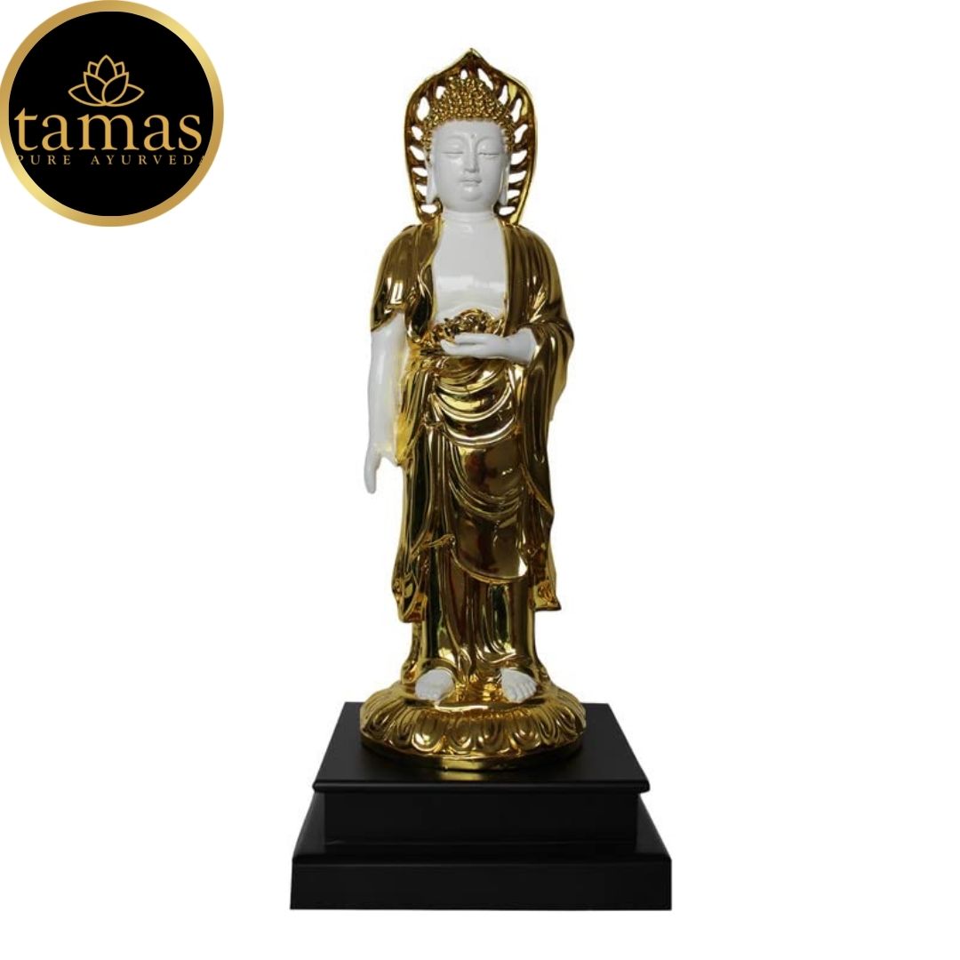 Tamas Poly Resin Gold Plated Standing Buddha Statue (20.5 Inches, White & Golden)