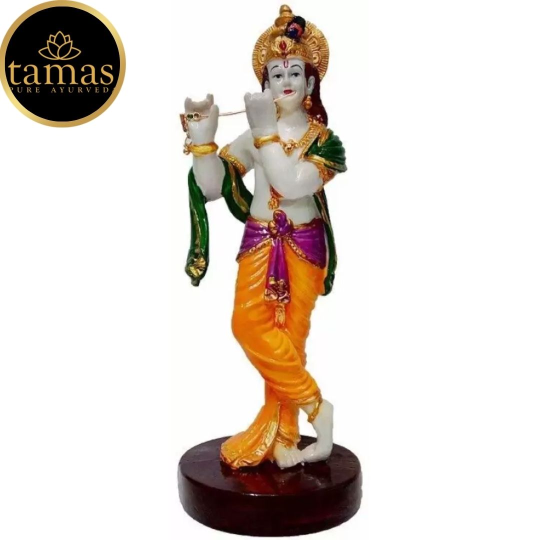 Tamas Poly Resin Lord Krishna Statue (11.5 Inches, Multicolor)