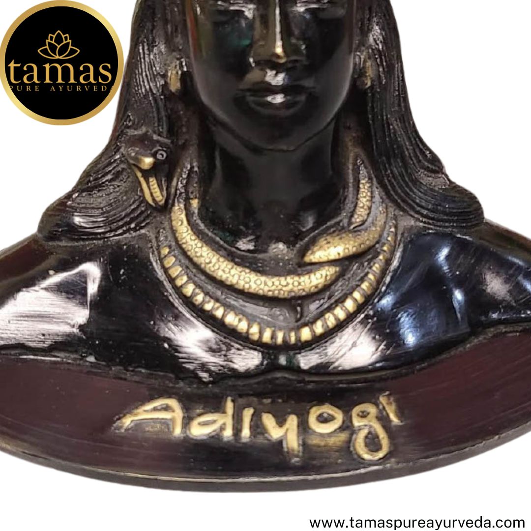 Tamas Brass Handcrafted Lord Adiyogi Mahadev Shiv Shankara Statue/ Idol with Antique Finish (6.5 x 4.5 x 5 Inches, Black) (Pack of 1)