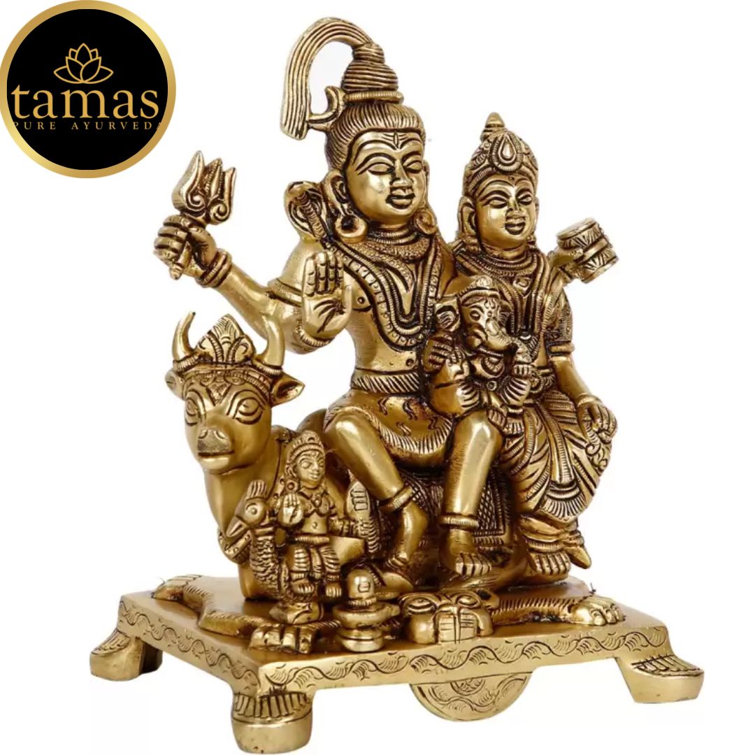 Tamas Brass Shiv Parivar With Nandi Statue(Golden) Height: 8 inches