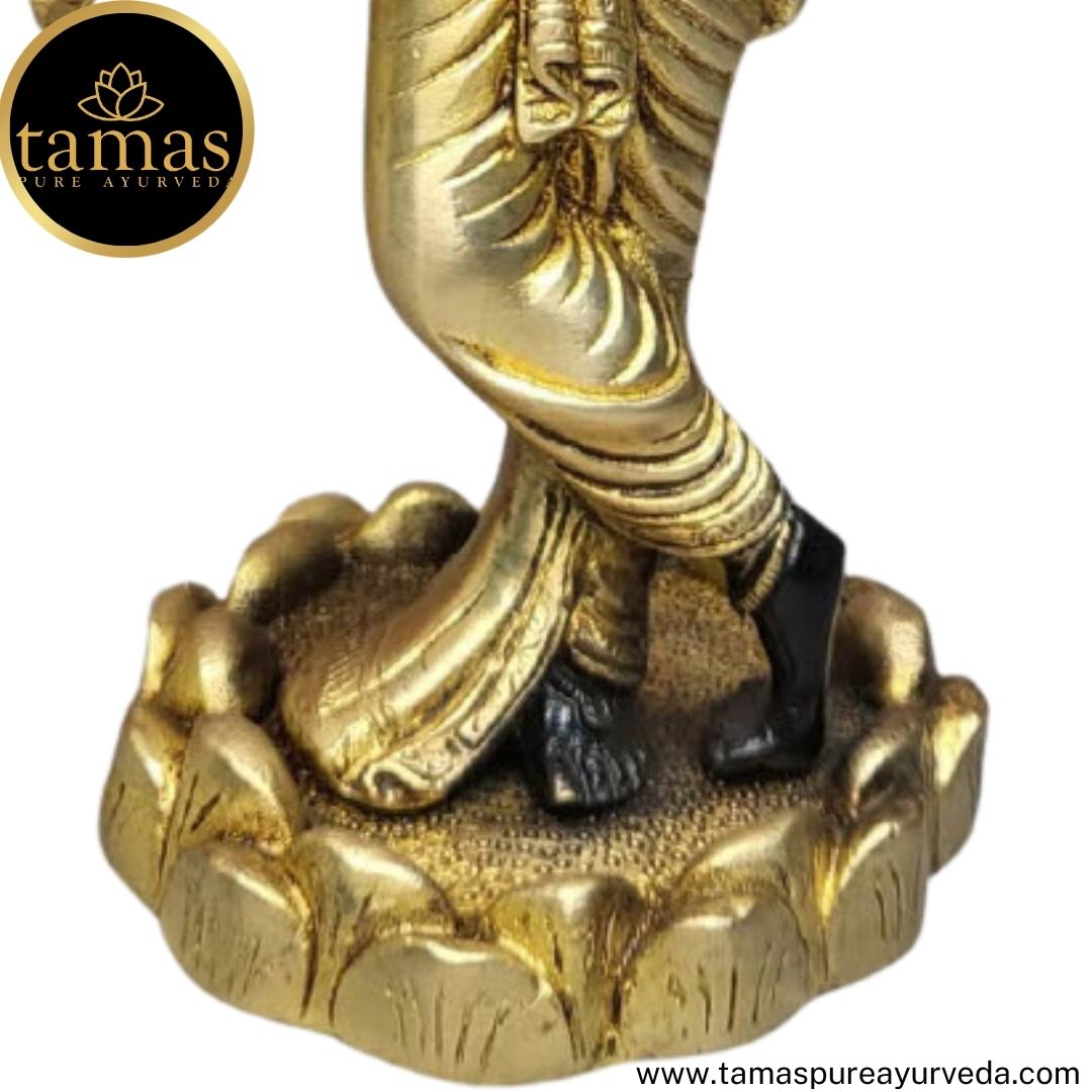 Tamas Brass Handcrafted Lord Krishna Murti Statue/ Idol with Antique Finish (4.5 x 4.5 x 11 Inches, Black & Golden) (Pack of 1)