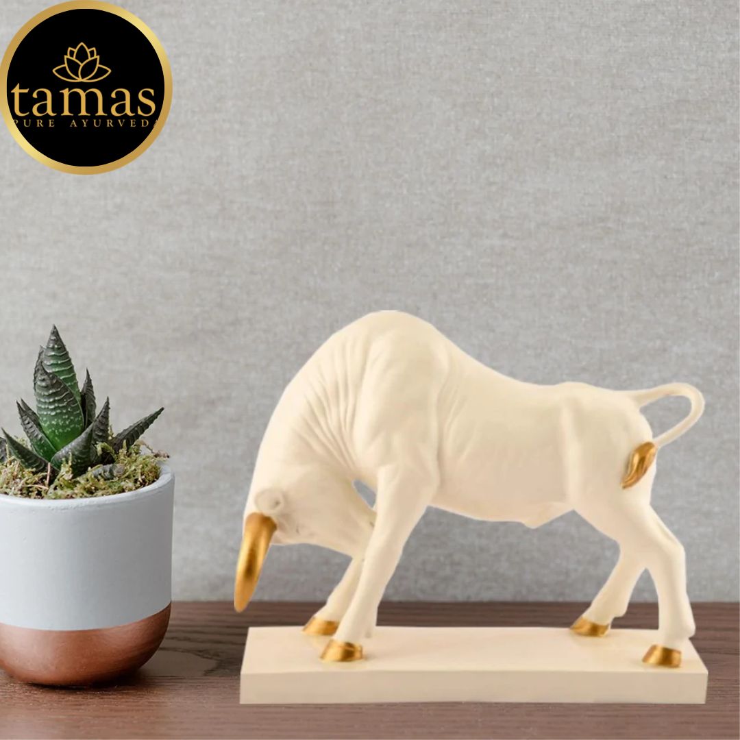 Tamas Poly Resin Majestic Charging Bull (L: 9 inches, W: 4 inches, H: 8 inches)