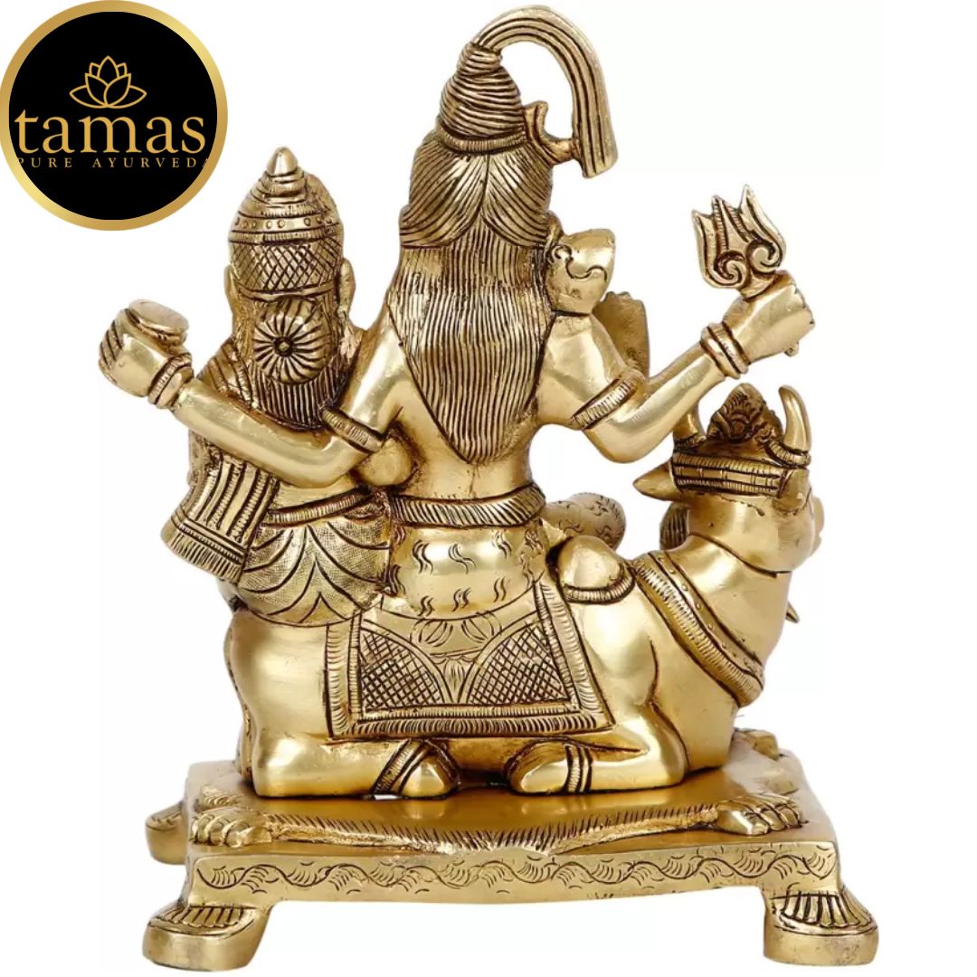 Tamas Brass Shiv Parivar With Nandi Statue(Golden) Height: 8 inches