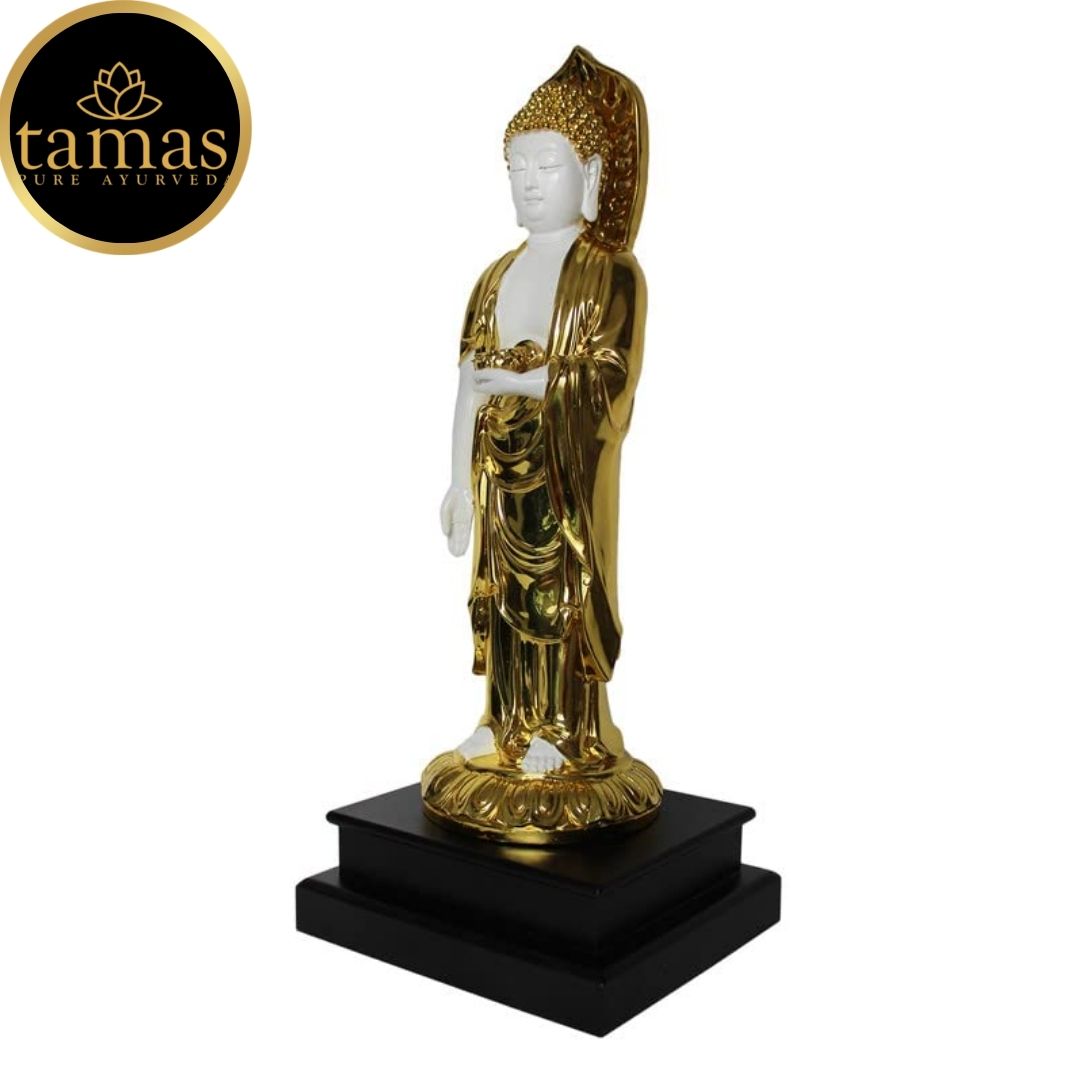 Tamas Poly Resin Gold Plated Standing Buddha Statue (20.5 Inches, White & Golden)