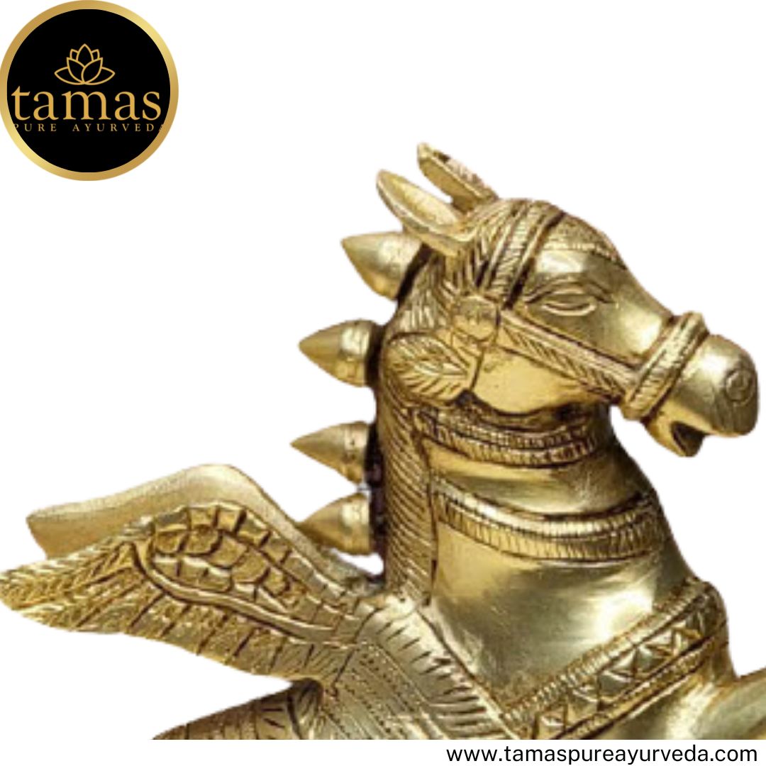 Tamas Brass Handcrafted Pegasus (Flying Angel Horse) with Antique Finish (2 x 9 x 7 Inches, Golden)