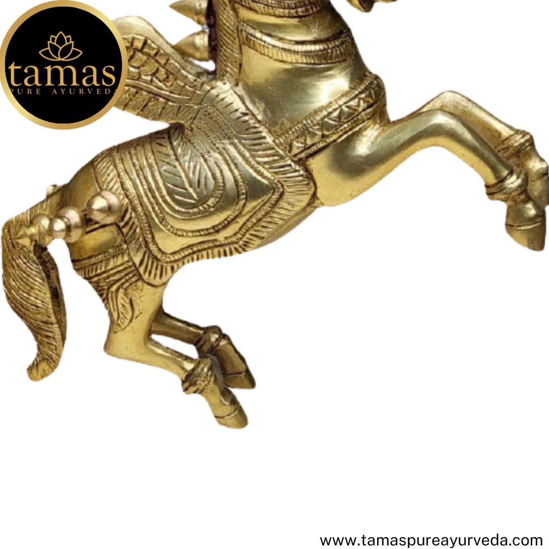 Tamas Brass Handcrafted Pegasus (Flying Angel Horse) with Antique Finish (2 x 9 x 7 Inches, Golden)