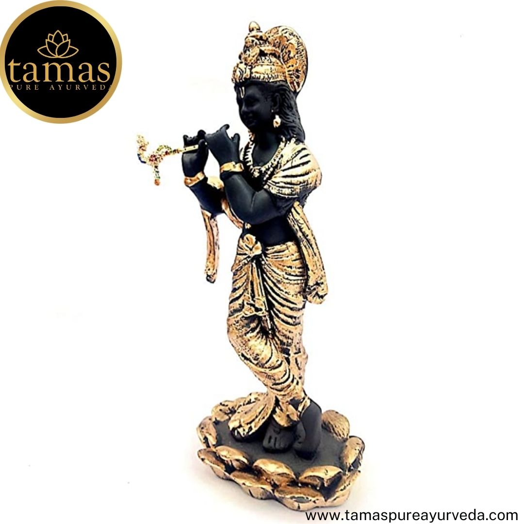 Tamas Brass Handcrafted Lord Krishna Murti Statue/ Idol with Antique Finish (4.5 x 4.5 x 11 Inches, Black & Golden) (Pack of 1)