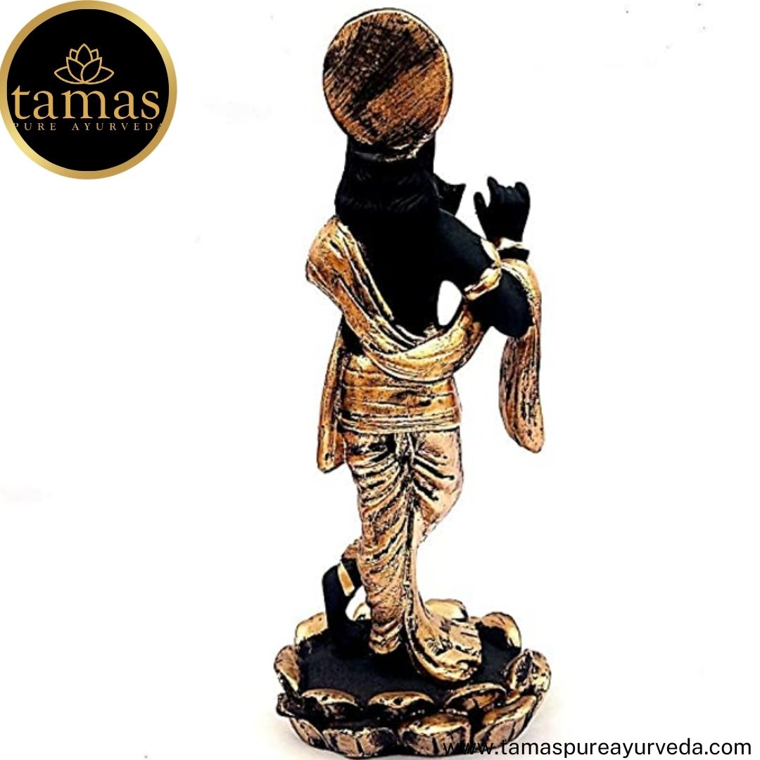 Tamas Brass Handcrafted Lord Krishna Murti Statue/ Idol with Antique Finish (4.5 x 4.5 x 11 Inches, Black & Golden) (Pack of 1)