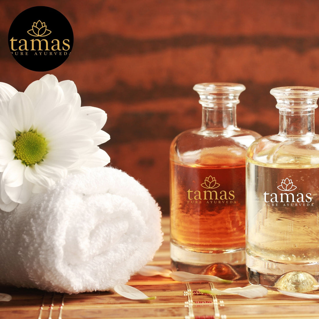 Tamanu Cold-Pressed Oil (Calophyllum Inophyllum):- Therapeutic Grade|100% Natural (30ml), from Nepal